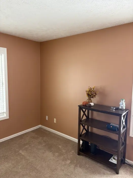 Warm terracotta painted room